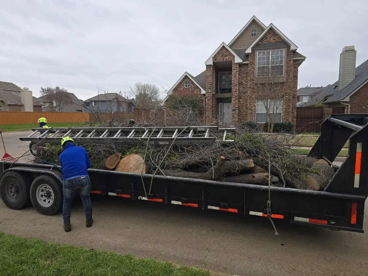 Expert Tree Fertilization with proper safety equipment in Fred